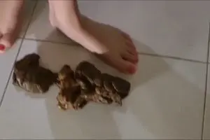 Cute girl poops standing on the floor