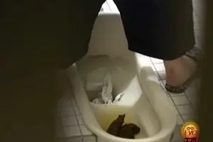 Japanese girls scat in toilet Jade Evo